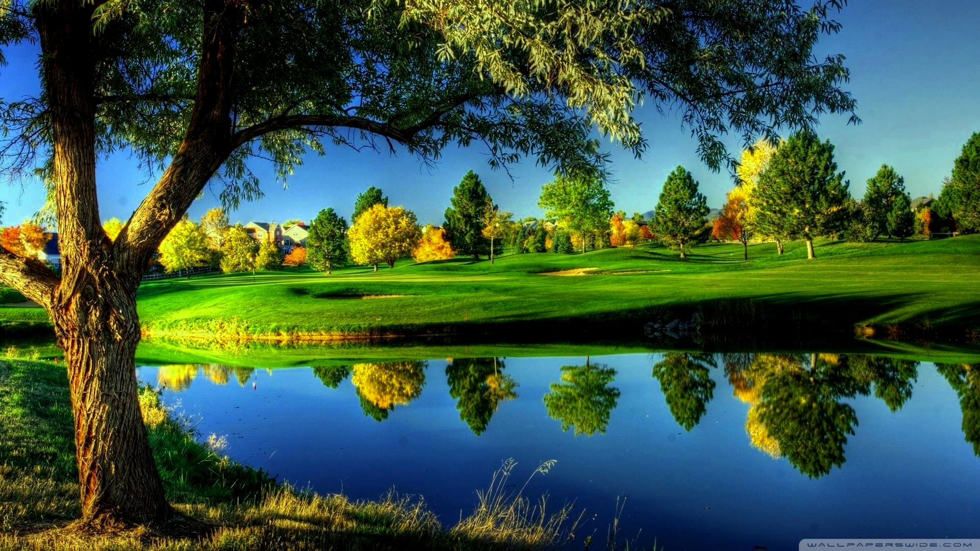 Serene Golf Course Landscape at Sunset
