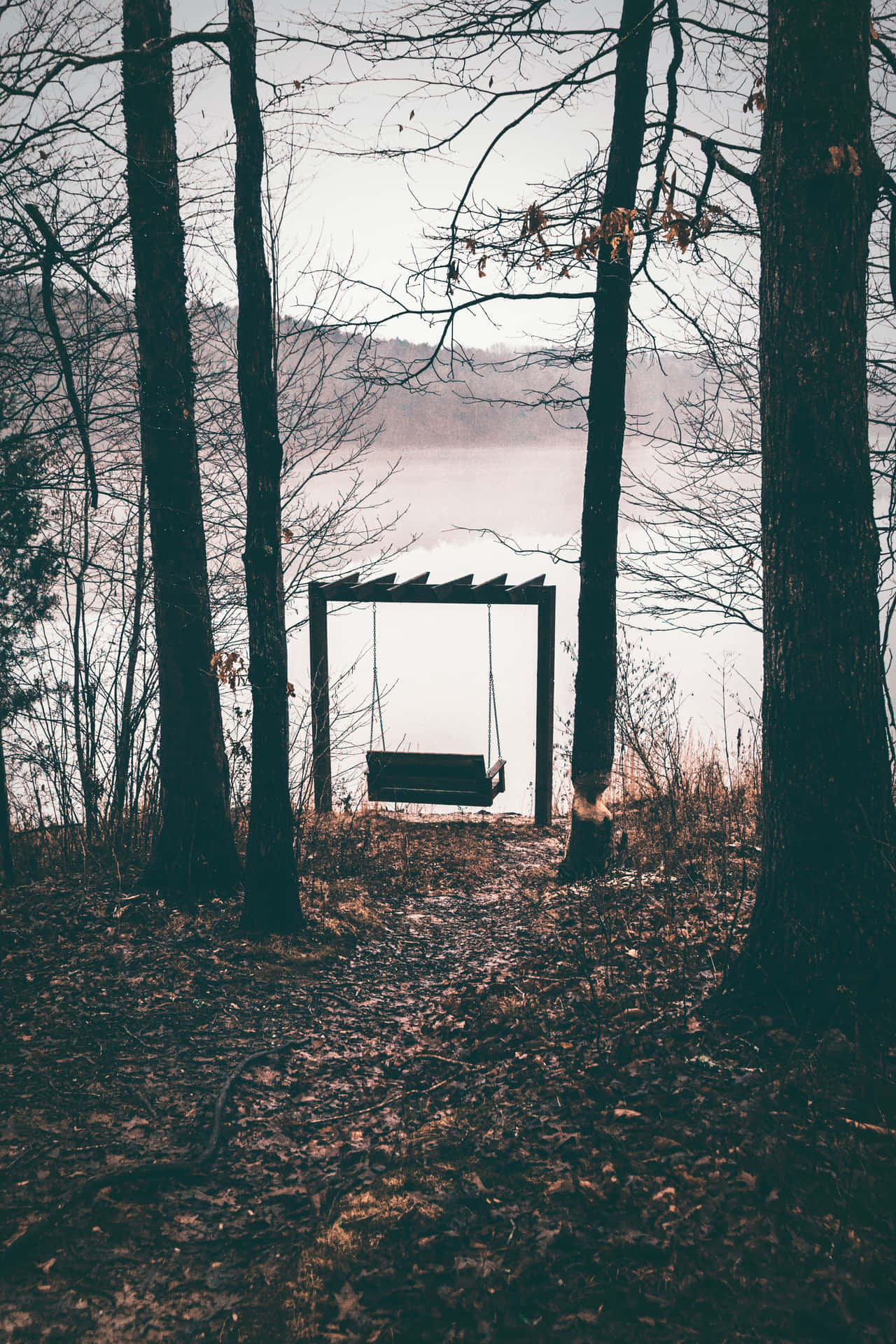 Moody Swing HD Phone Rtfrbiactmvfuvql Wallpaper