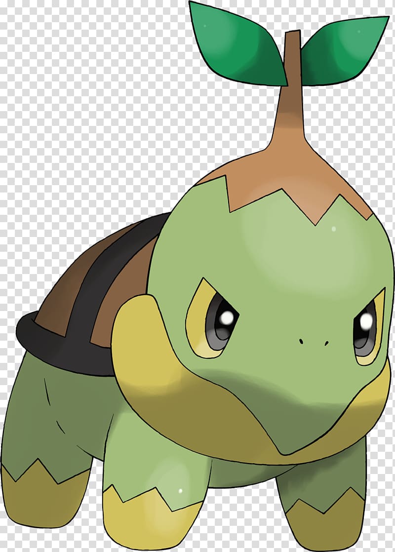 Tortoise Turtwig Drawing Grotle Pokemon Transparent Background