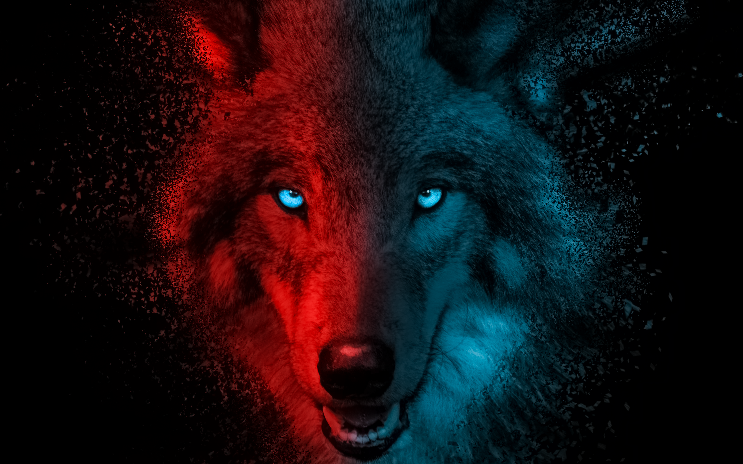 A striking close-up of a wolf's face, split into red and blue halves, with piercing blue eyes. The image has a disintegrating effect, as if the wolf is dissolving into particles