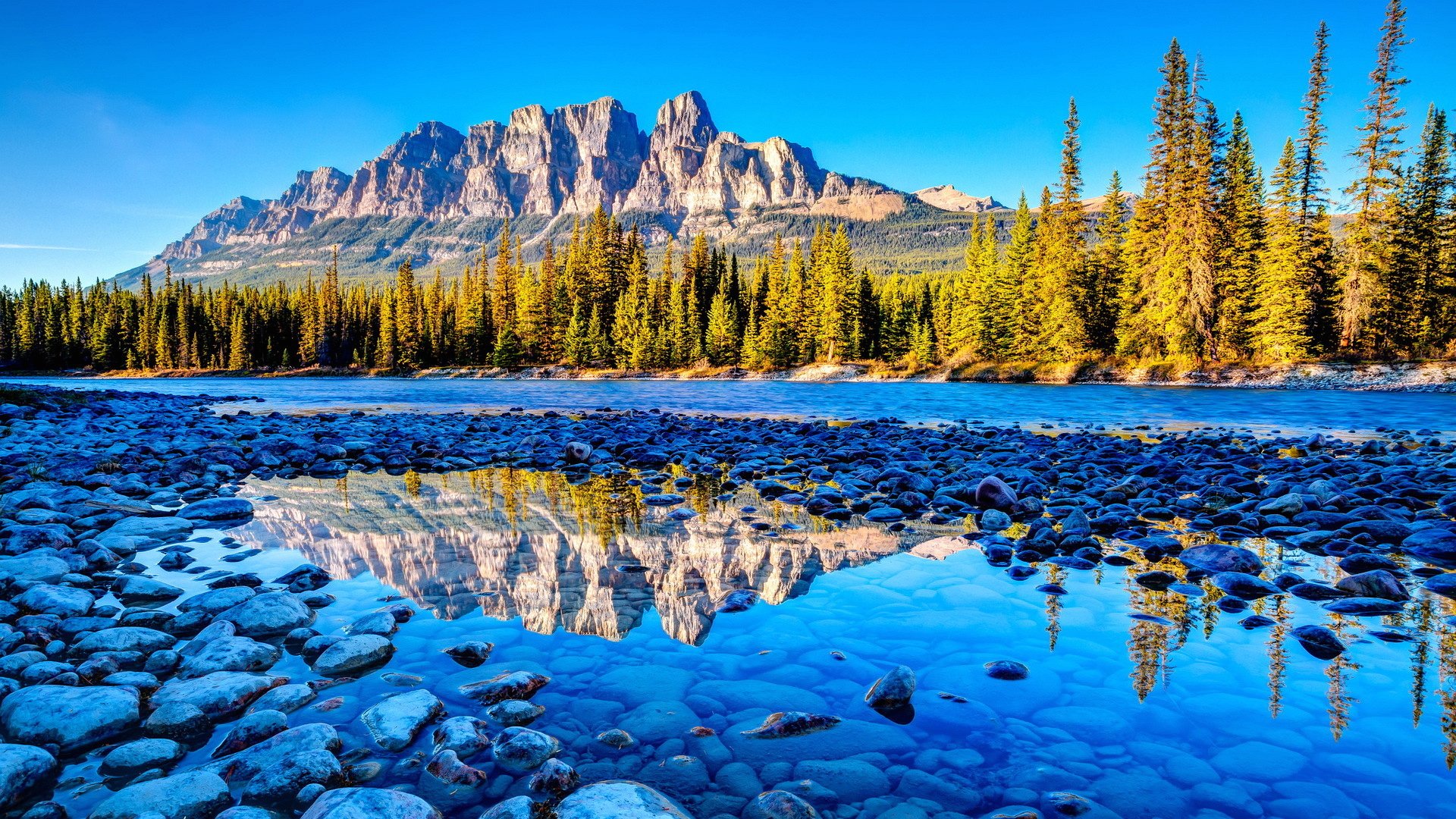 Beautiful Full HD Desktop Background Wallpaper