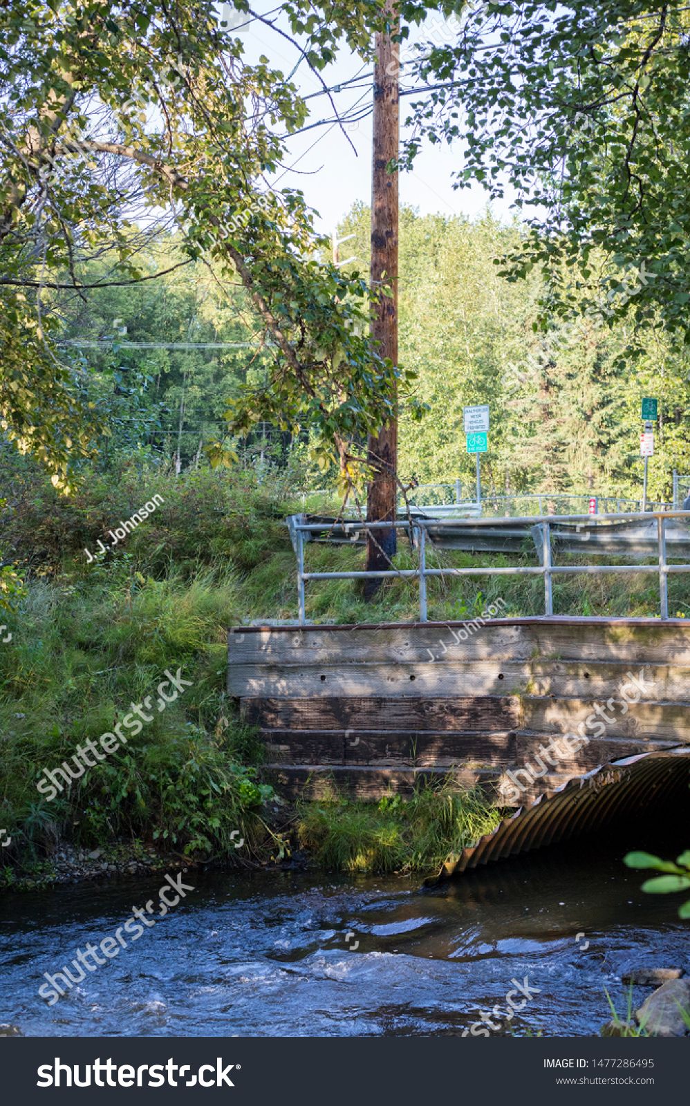 A Bridge Over Creek Against Background Of Woods In Park