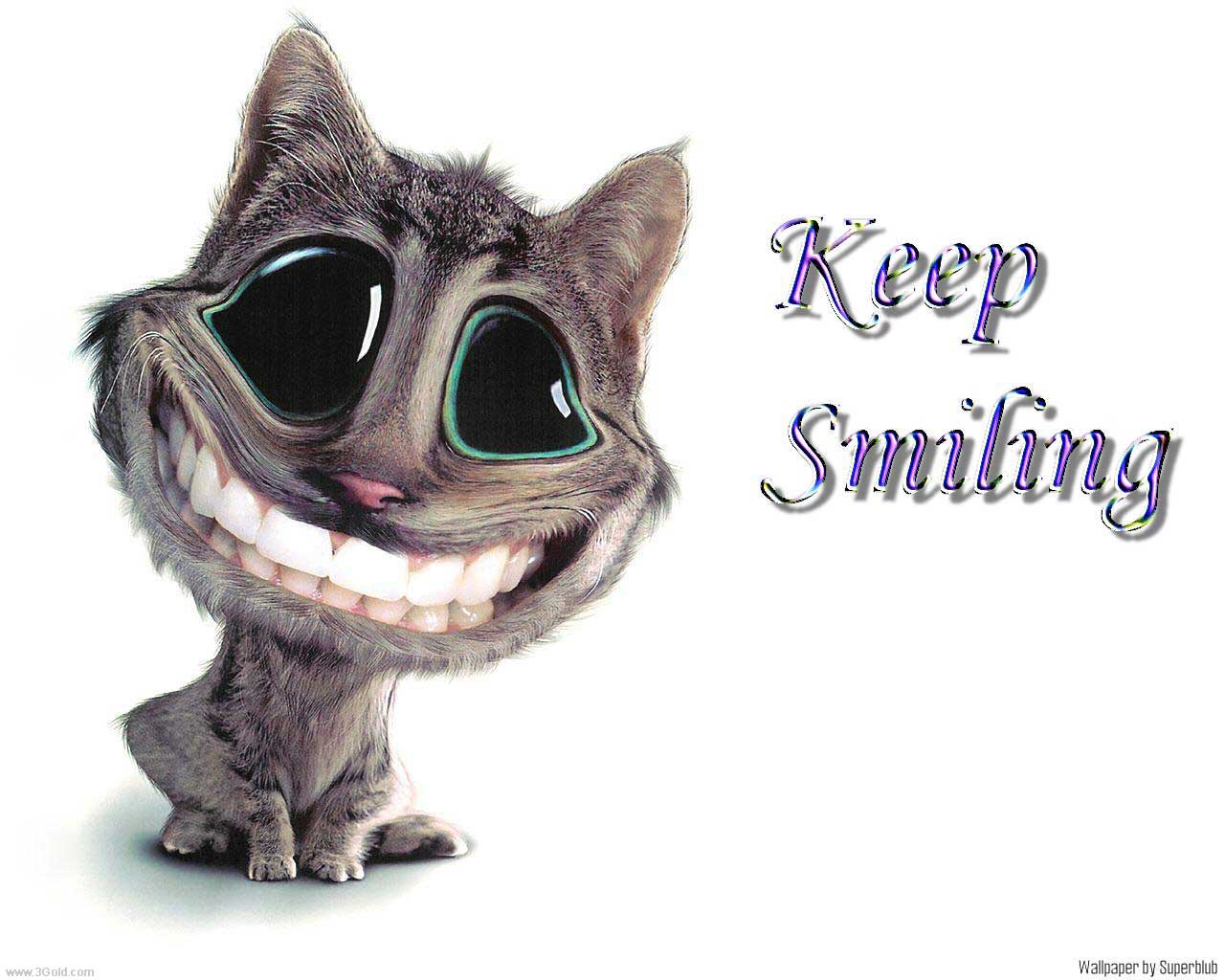 Funny Desktop Wallpaper Keep Smiling 3d Pictures
