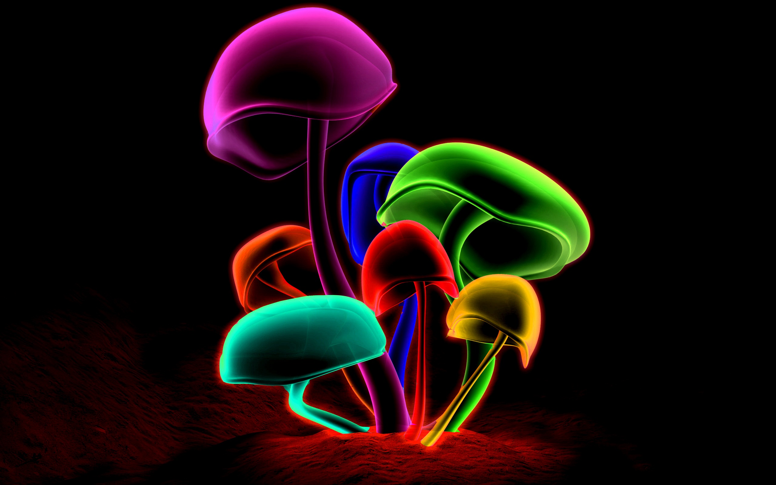 Colorful Mushrooms Desktop Background Photo