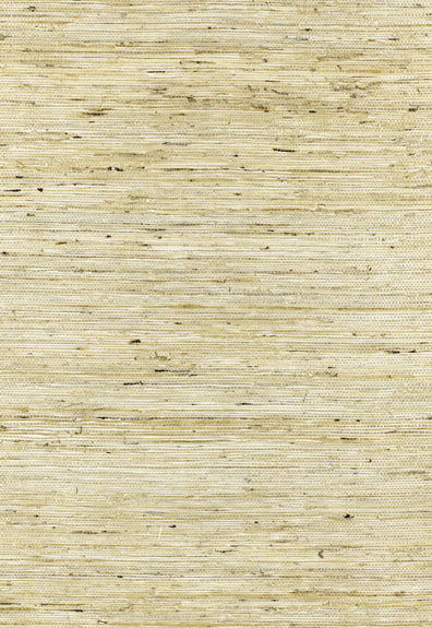  Wallpaper Grasscloth Wallpaper Sisal Wallpaper Bamboo Wallpaper