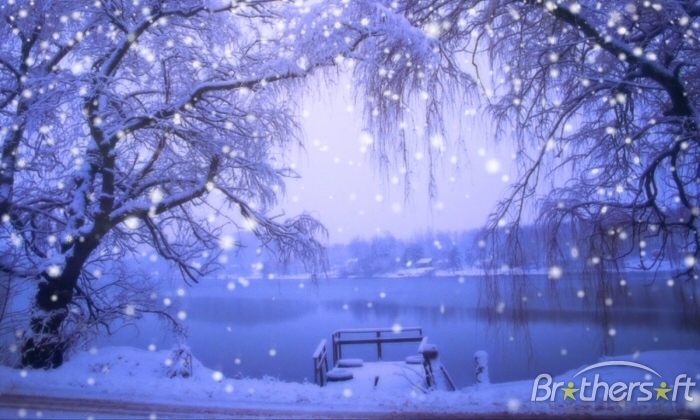 Winterscenes Snow Screensaver