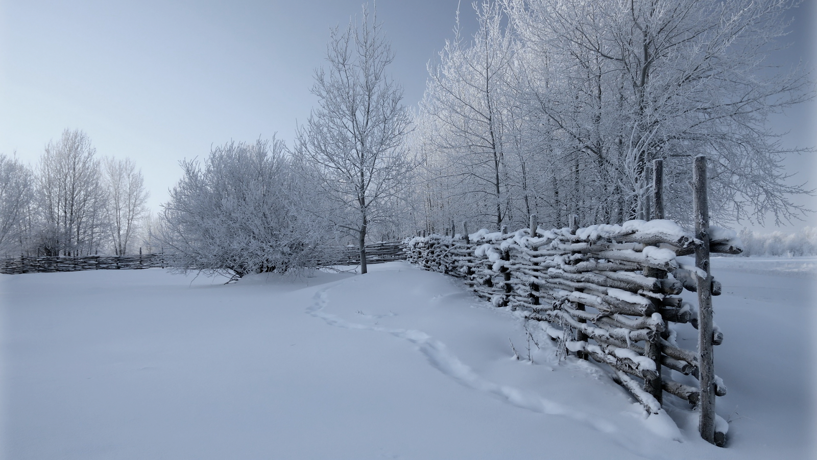 Country Rail Fence Winter Wallpaper What Does Conservative