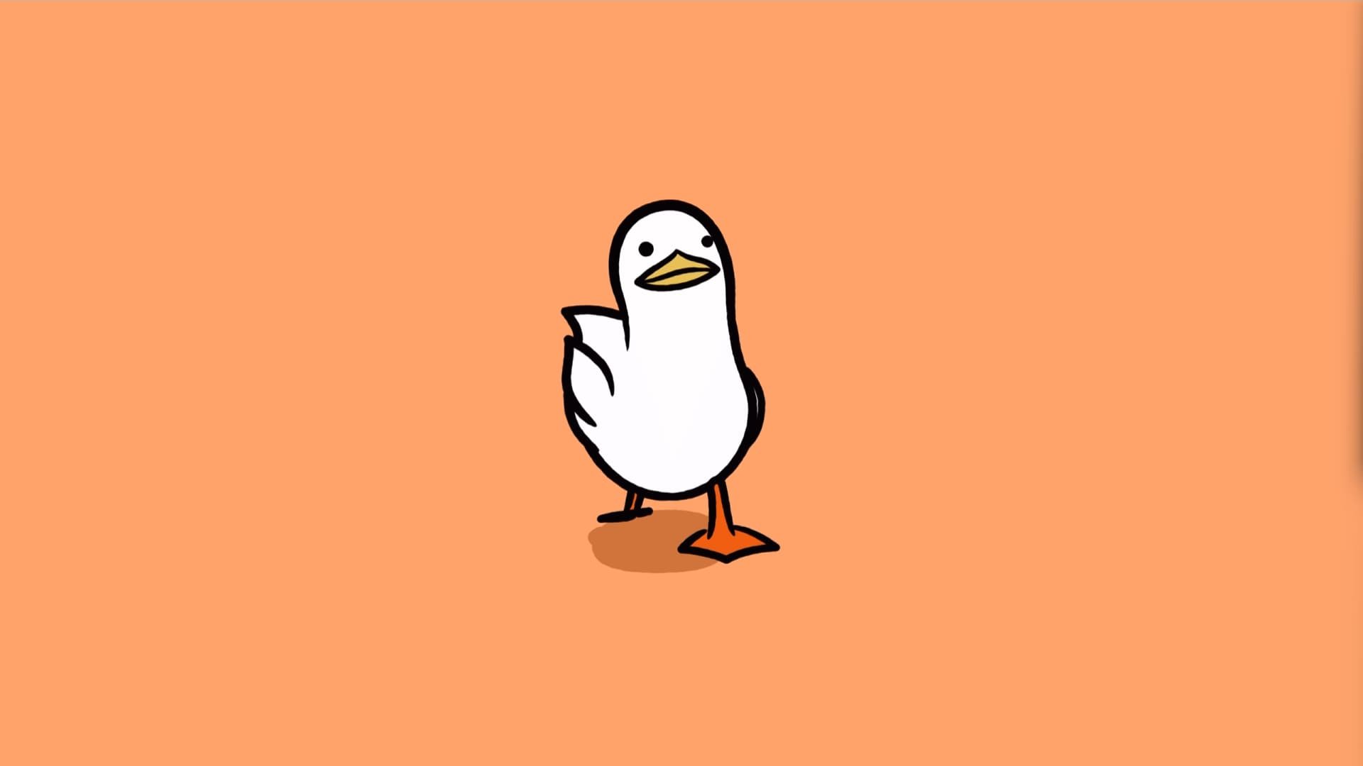 Meme Wallpaper Desktop On