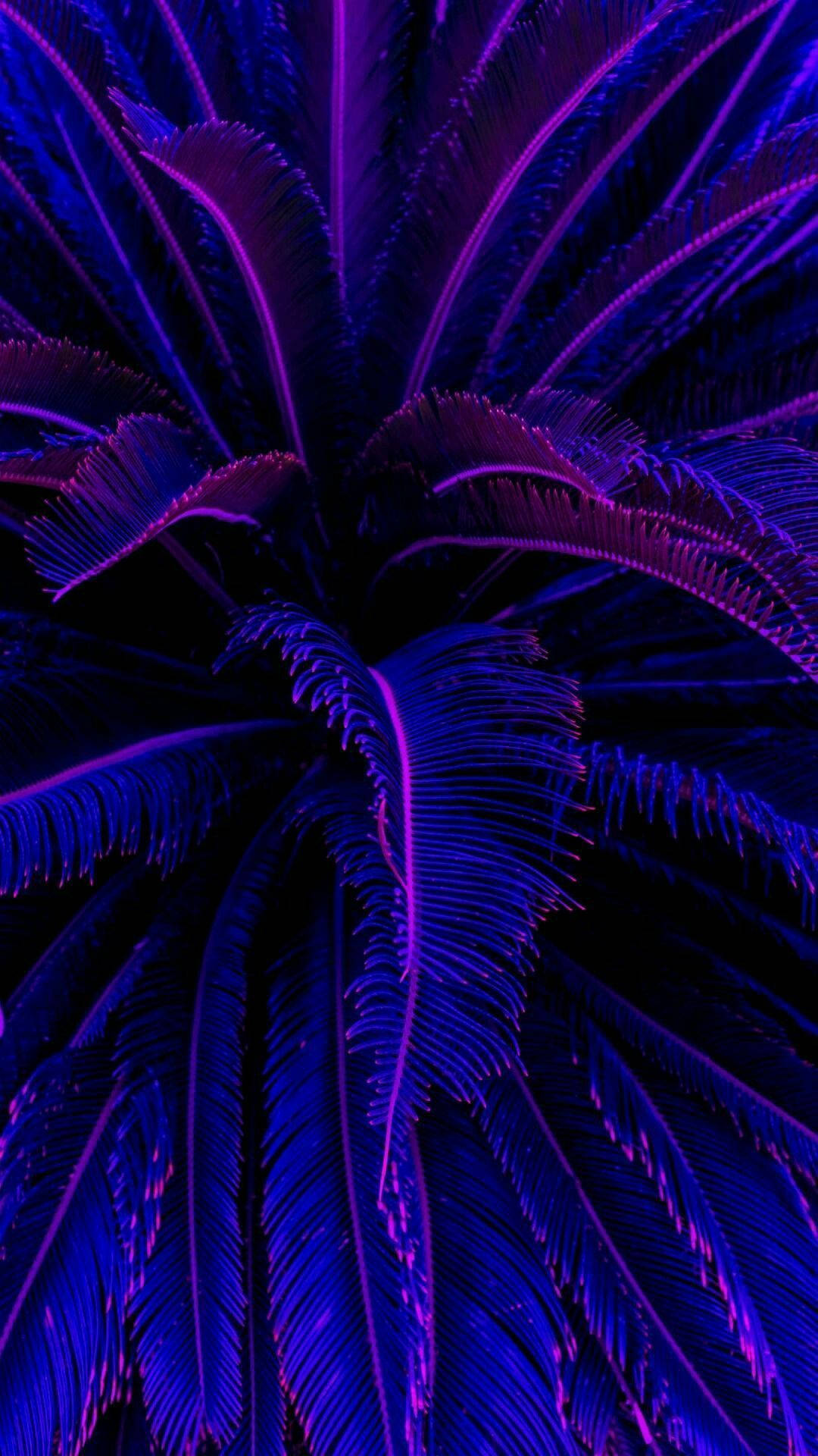Top Dark Purple Aesthetic Wallpaper Full HD 4k To Use