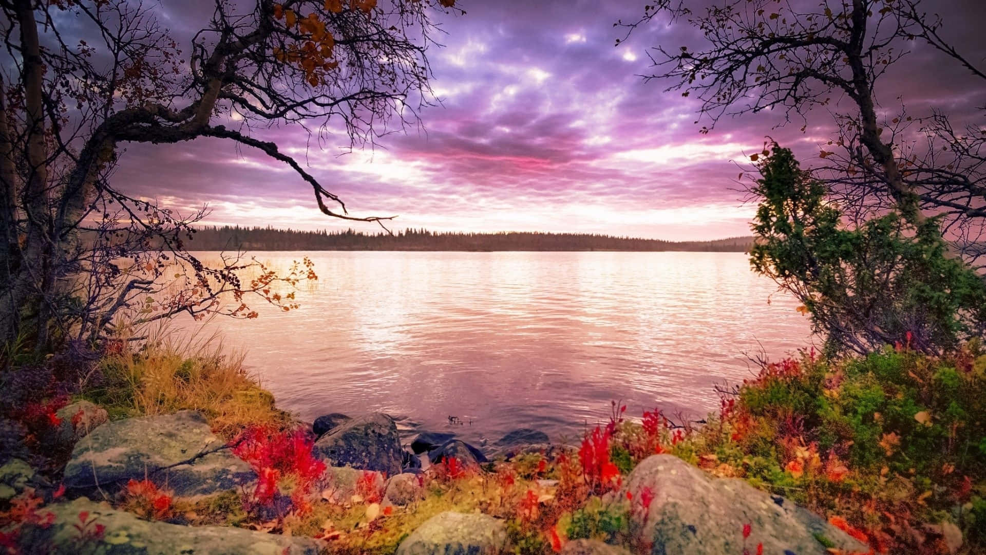 Early Fall Wallpaper