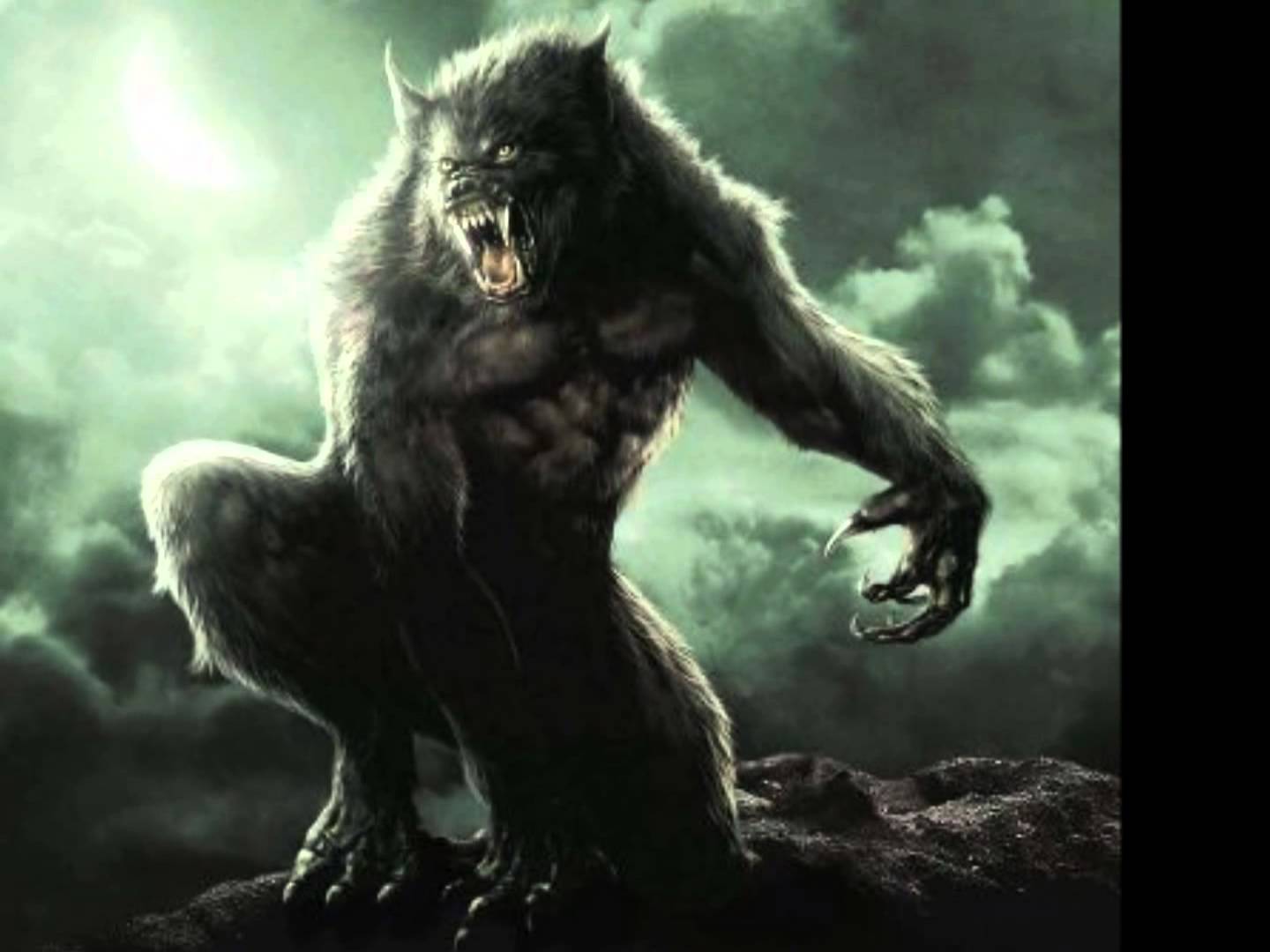 Displaying Image For Van Helsing Black Werewolf Wallpaper