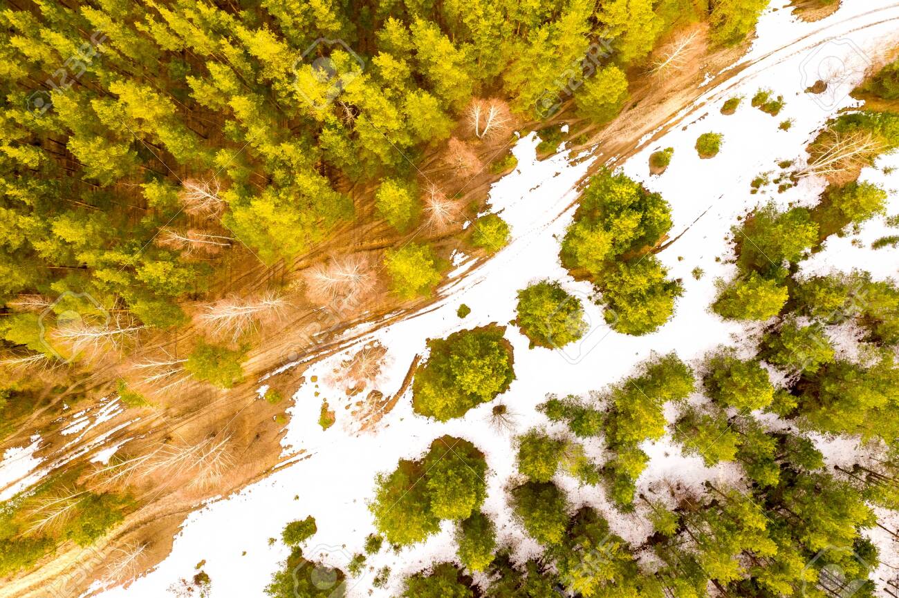 Beautiful Spring Forest And Snow As Background Aerial Drone
