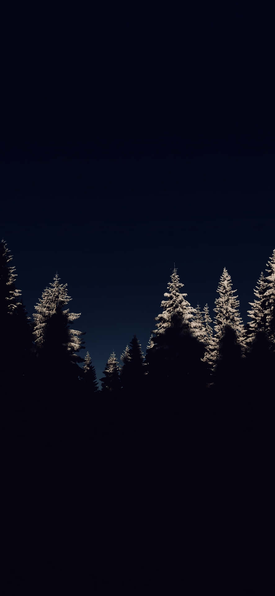 Midnight Snowy Pines Dark Christmas Aesthetic Wallpaper