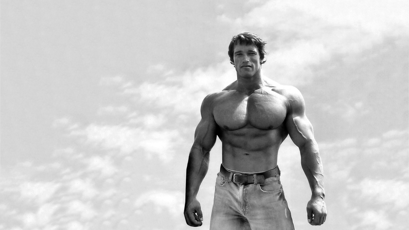 Arnold Schwarzenegger Wallpaper High Resolution And