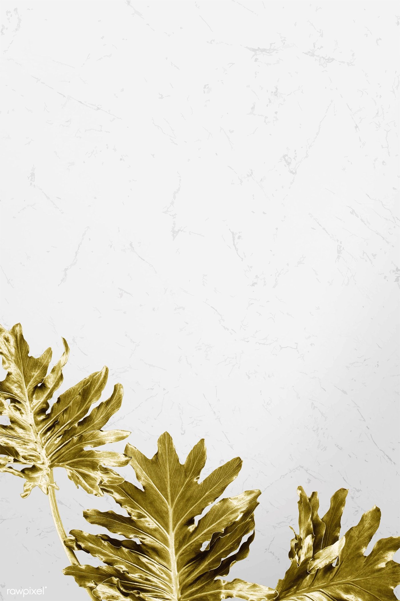 Gold Philodendron Xanadu Leaves On White Marble Background Vector