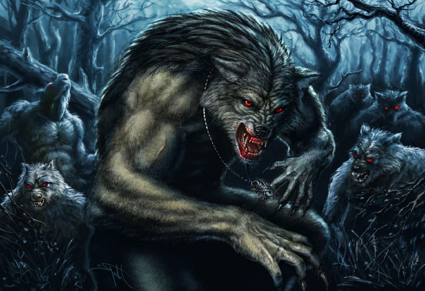 Werewolf Wallpaper HD Background Wallpaperin4k