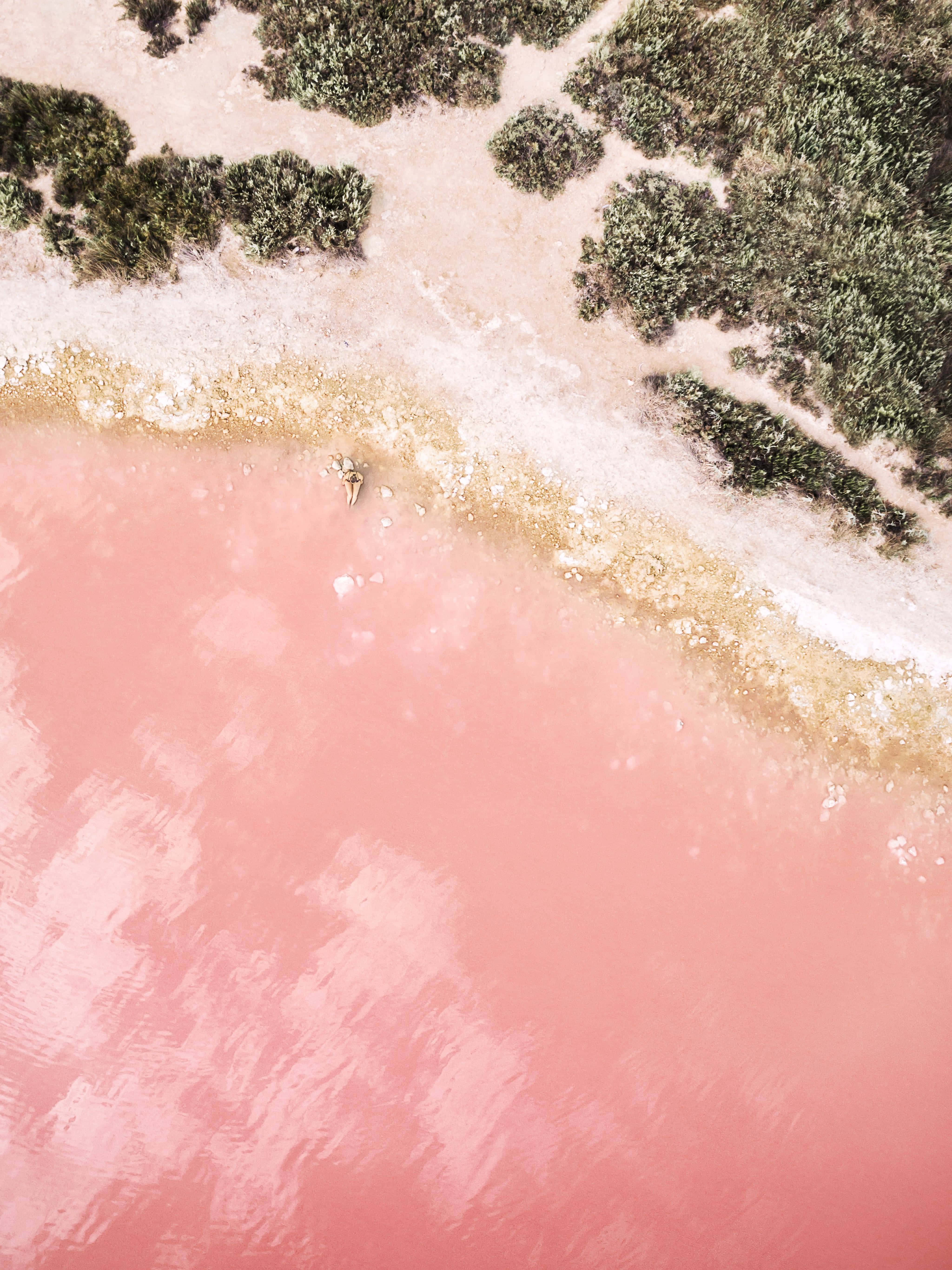Introducing The Stylish And Powerful Pink iPad Pro Wallpaper