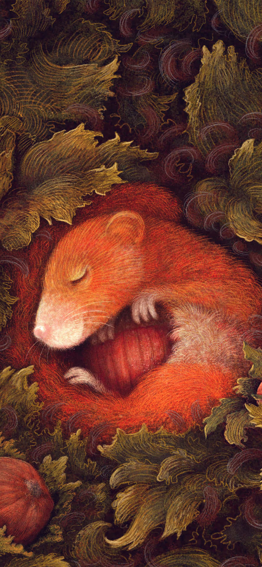 Animals iPhone Wallpaper