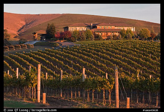  Photo Vineyard and winery in autumn Napa Valley California USA