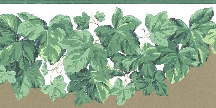 Green Ivy Off White Cutout Wallpaper Border York Bb5815b