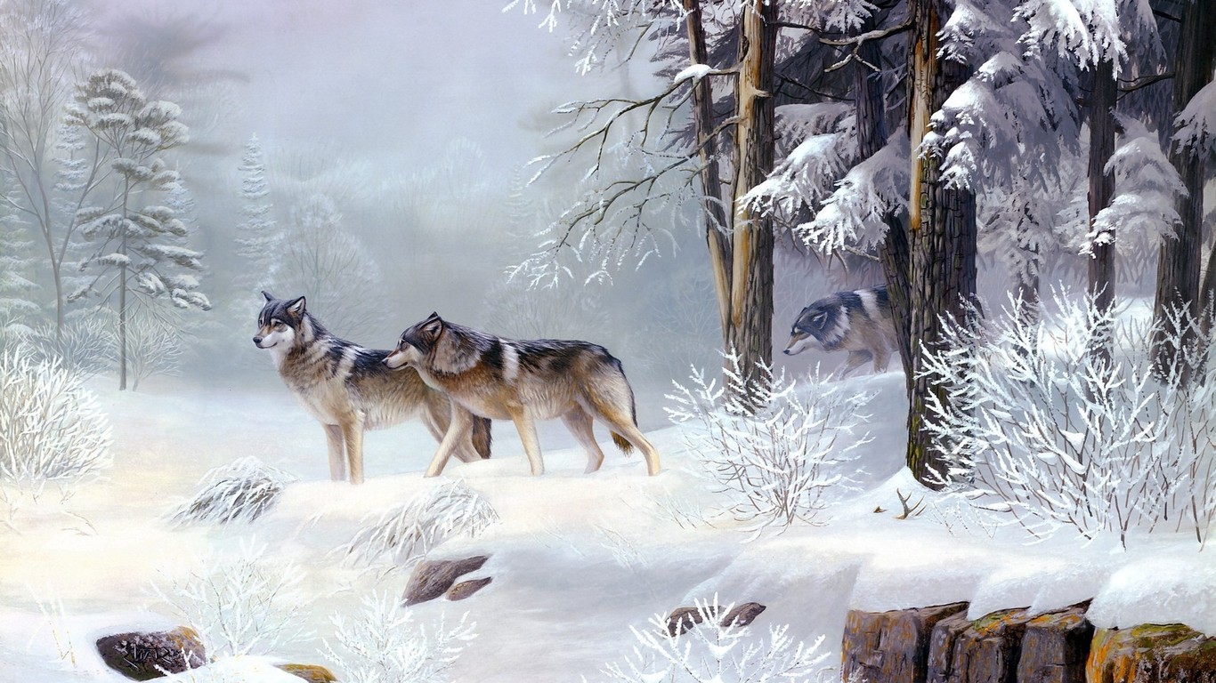 Wolf Pack In The Snowy Forest Wallpaper