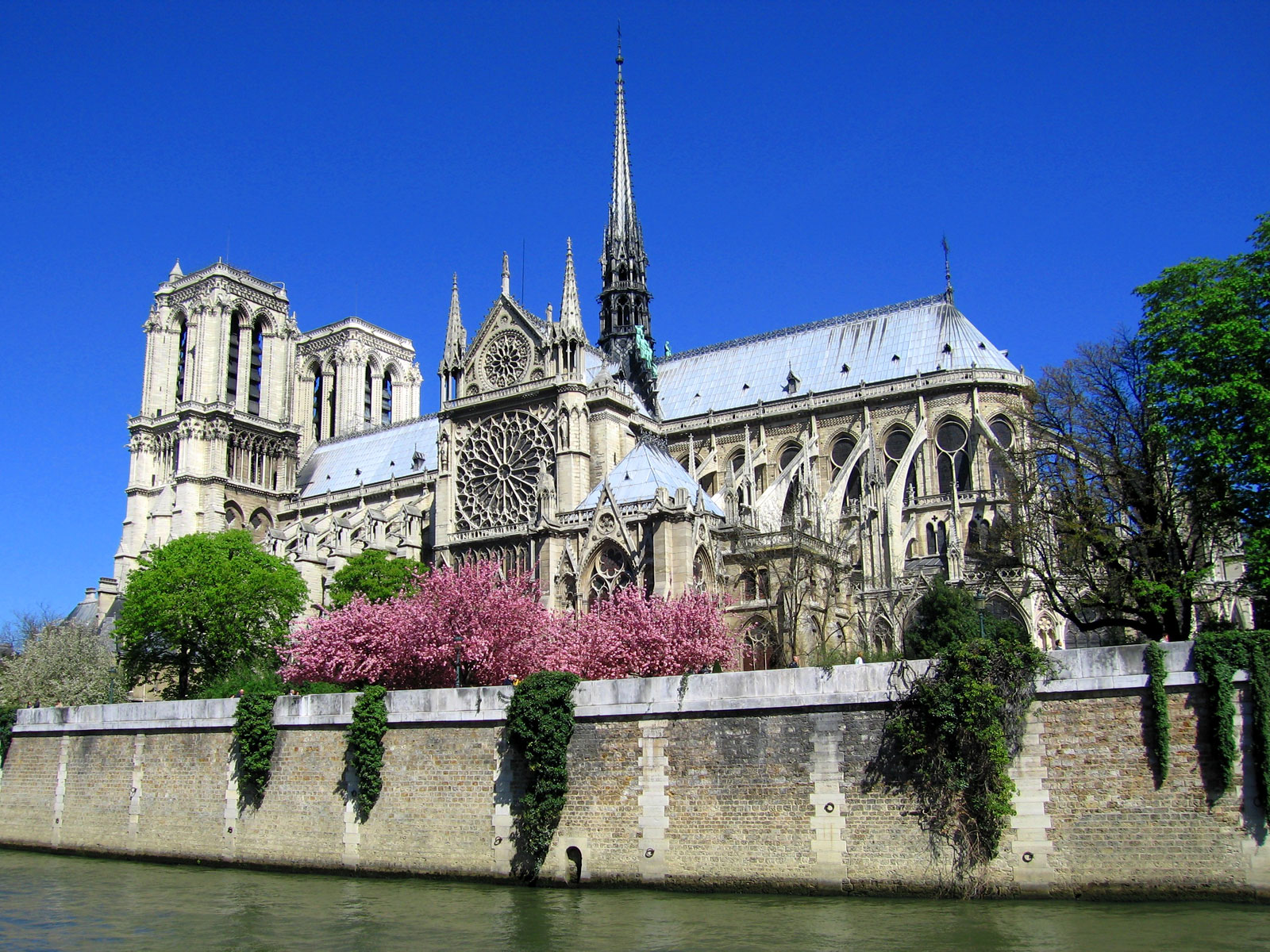 Notre Dame Cathedral Pics Wallpaper