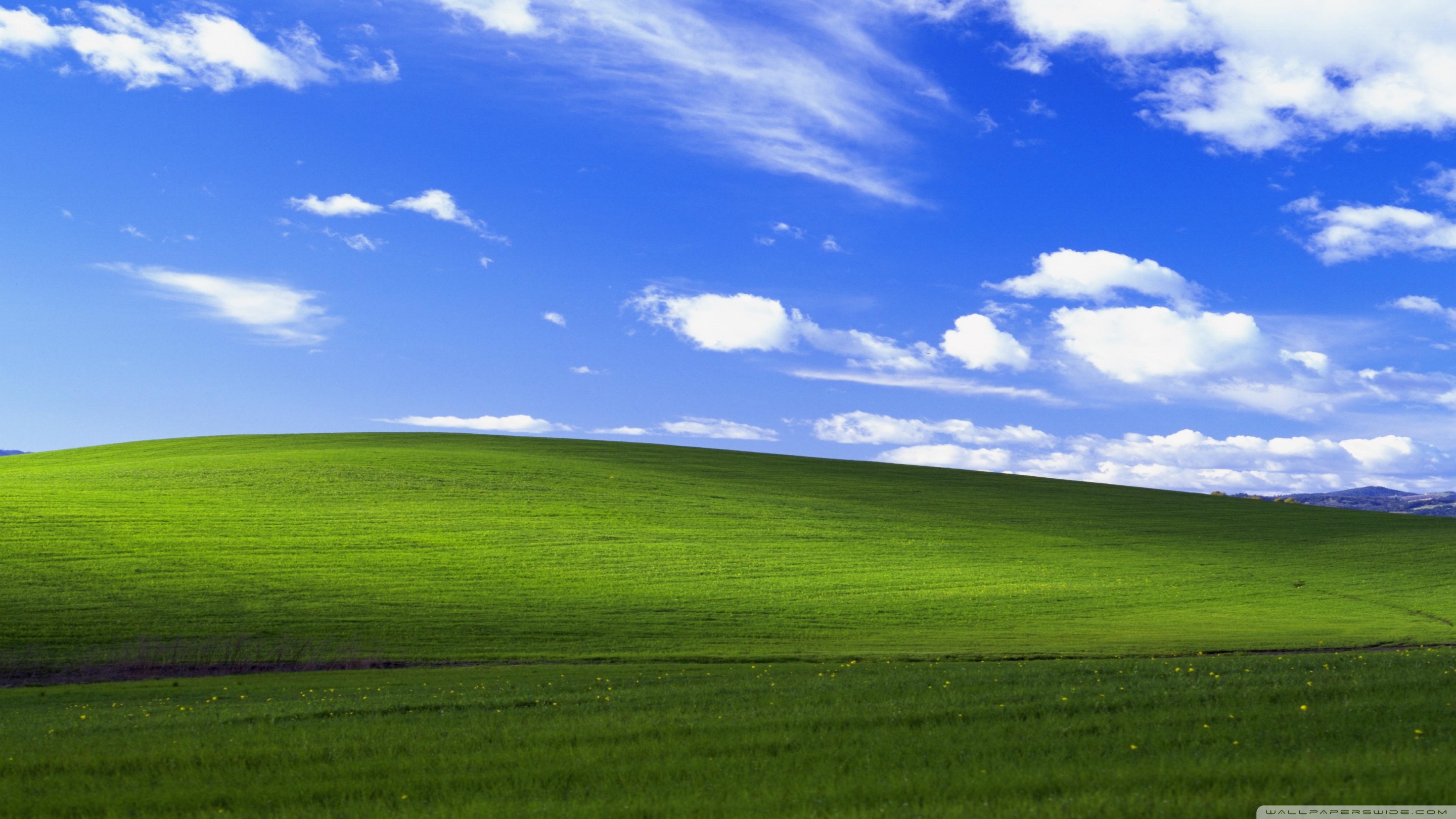 Bạn cần một hình nền Windows XP với độ phân giải cao nhất để trang trí cho màn hình máy tính của mình? Tại sao không lựa chọn hình ảnh độ phân giải 4K của Windows XP? Hình nền Windows XP này sẽ giúp cho màn hình máy tính của bạn đẹp hơn, rõ nét hơn và sống động hơn. Hãy tải xuống hình nền Windows XP với độ phân giải 4K này và trang trí cho màn hình Desktop của bạn trở nên đẹp hơn bao giờ hết.