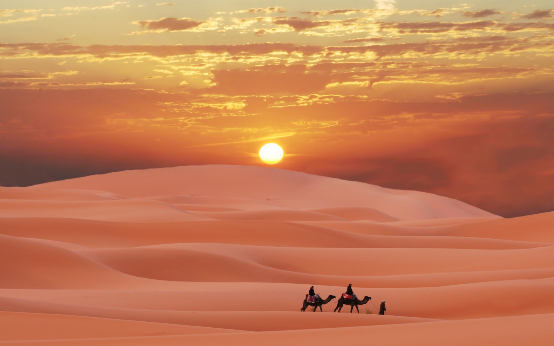 Camel HD Wallpaper Of Rangilo Rajasthan Pics Image