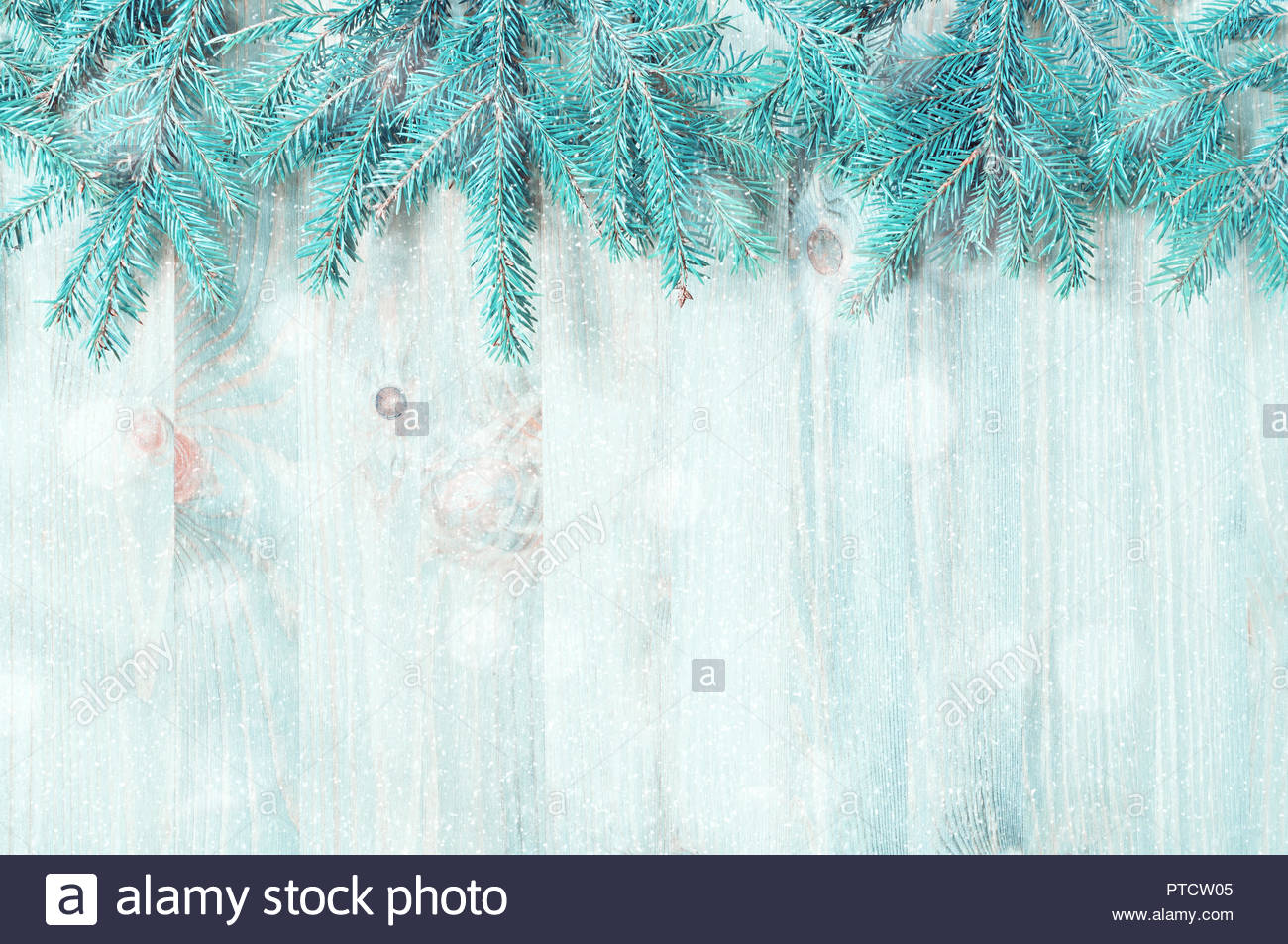 Winter Background Blue Fir Tree Branches With Snowflakes