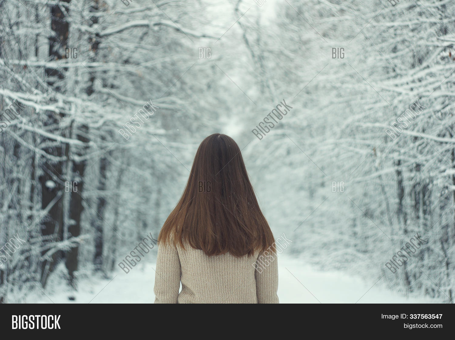Girl Walks Winter Image Photo Trial Bigstock