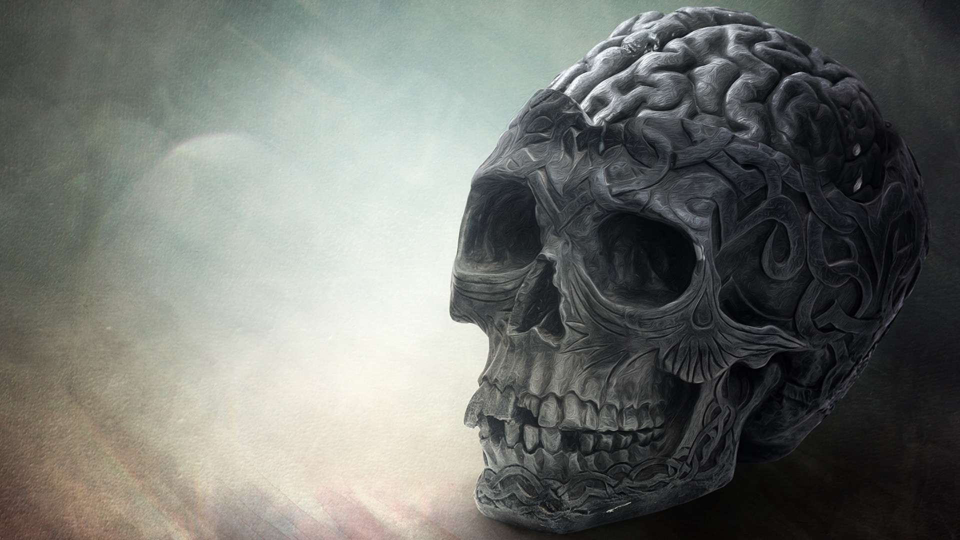 Now Brain Skull HD Wallpaper 1080p Read Description Info S
