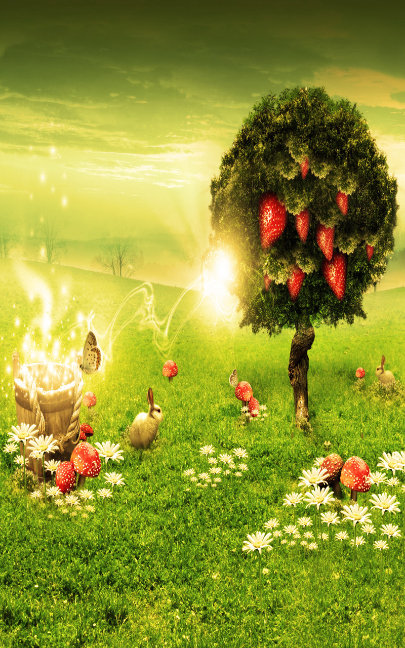 nature wallpaper for android cell phonejpg