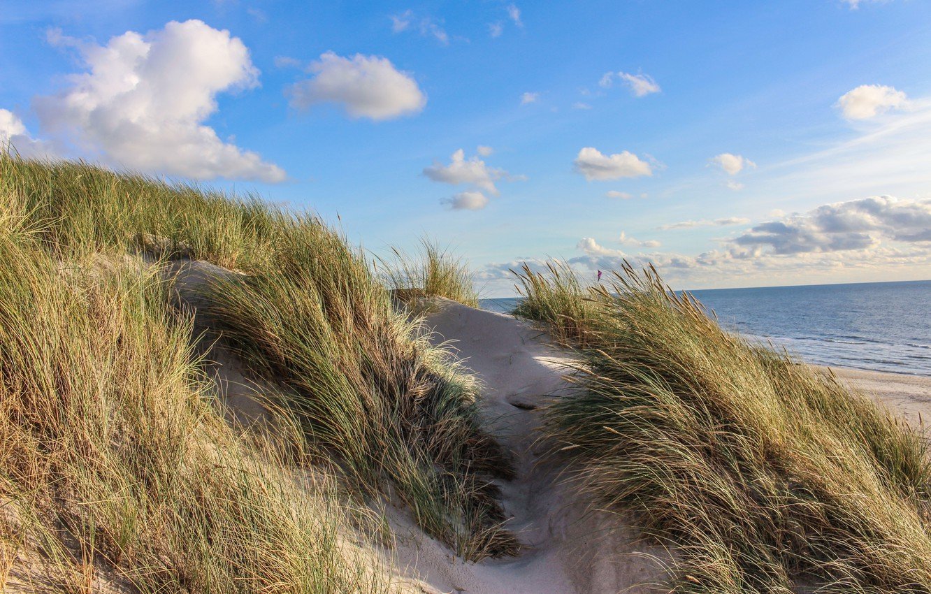 Wallpaper sunset dune denmark north sea images for desktop