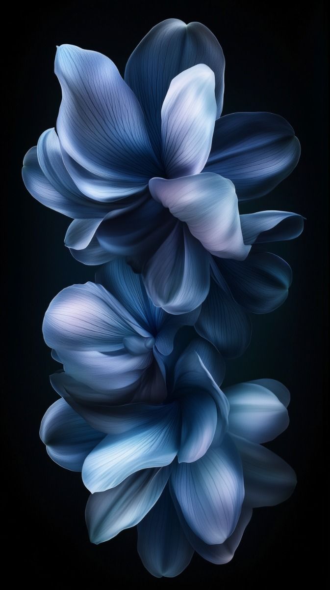 Black Natural Flowers iPhone Wallpaper