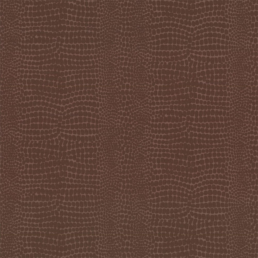 Free download Wallpaper Graham Brown Graham Brown Crocodile Wallpaper