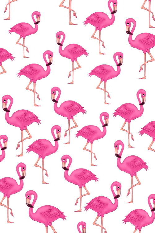 For This Image Include Pink Flamingo And Wallpaper Weheartit