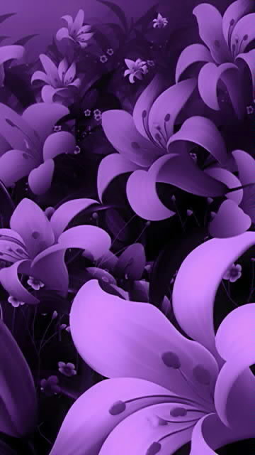  purple flowers download free wallpapers for your Nokia N8 mobile