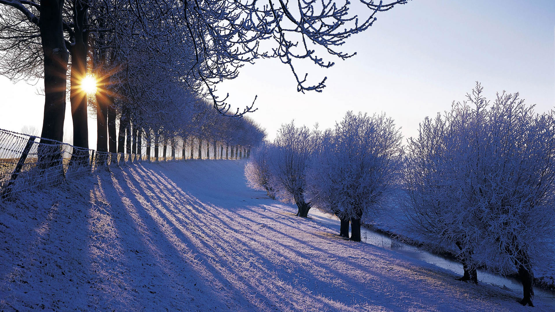 Wallpaper Winter Which Is Under The Category Of