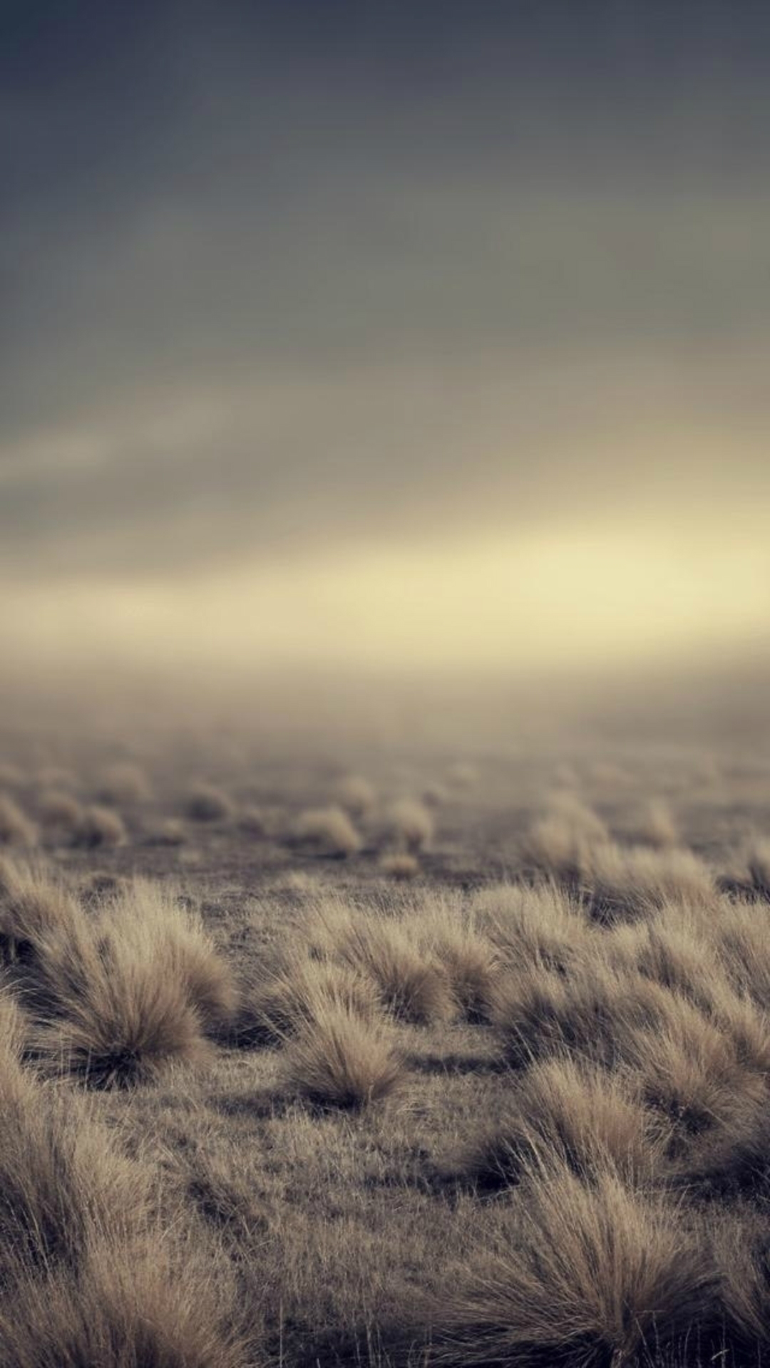 Nature Vast Desolation Grassland Landscape iPhone Wallpaper