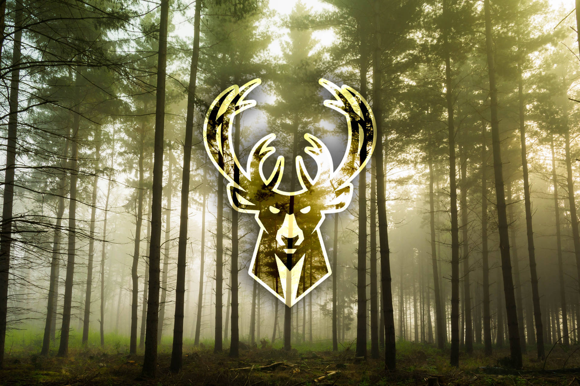Milwaukee Bucks Wallpaper