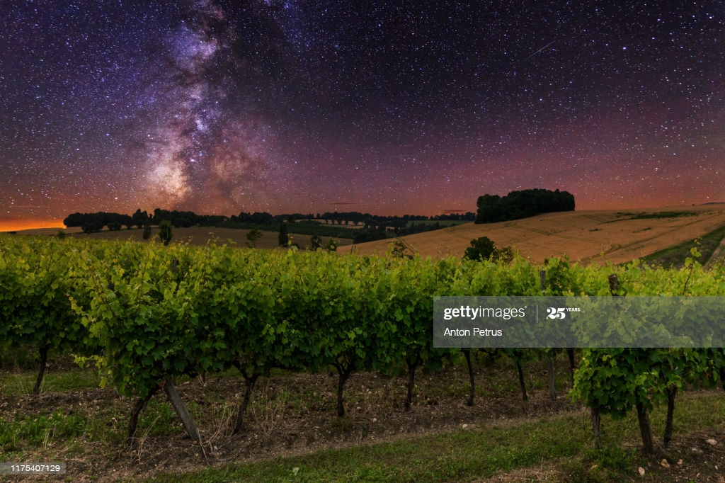 Vineyards On The Background Of Starry Sky With Milky Way