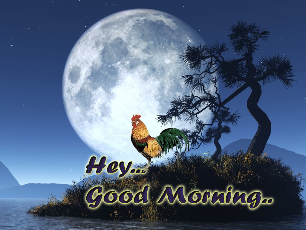 Free download Good Morning Download High Resolution Wallpaper Size ...