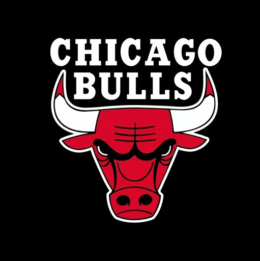Windy City Logo Bulls Image Pictures Becuo