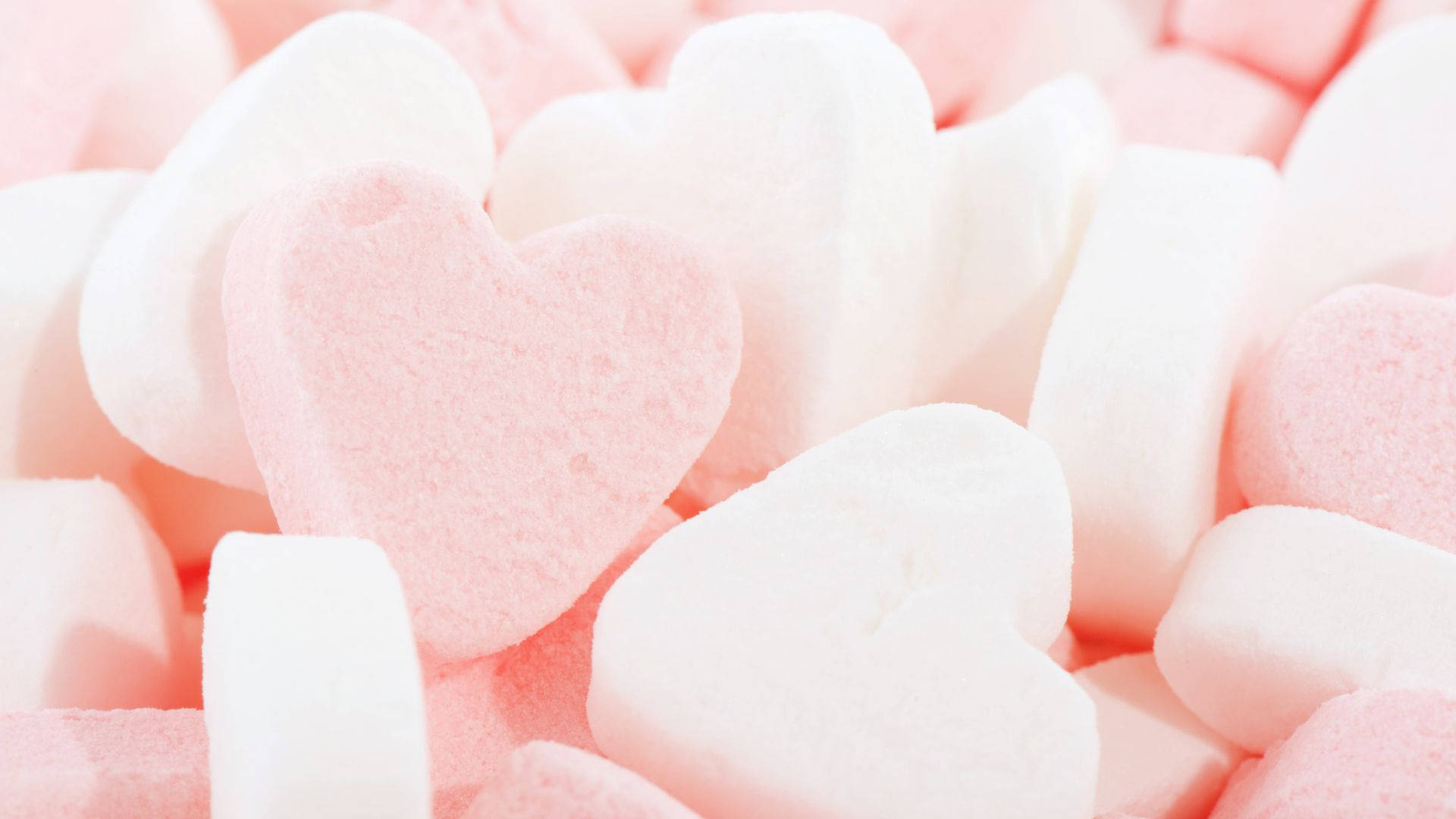 Baby Pink Wallpaper