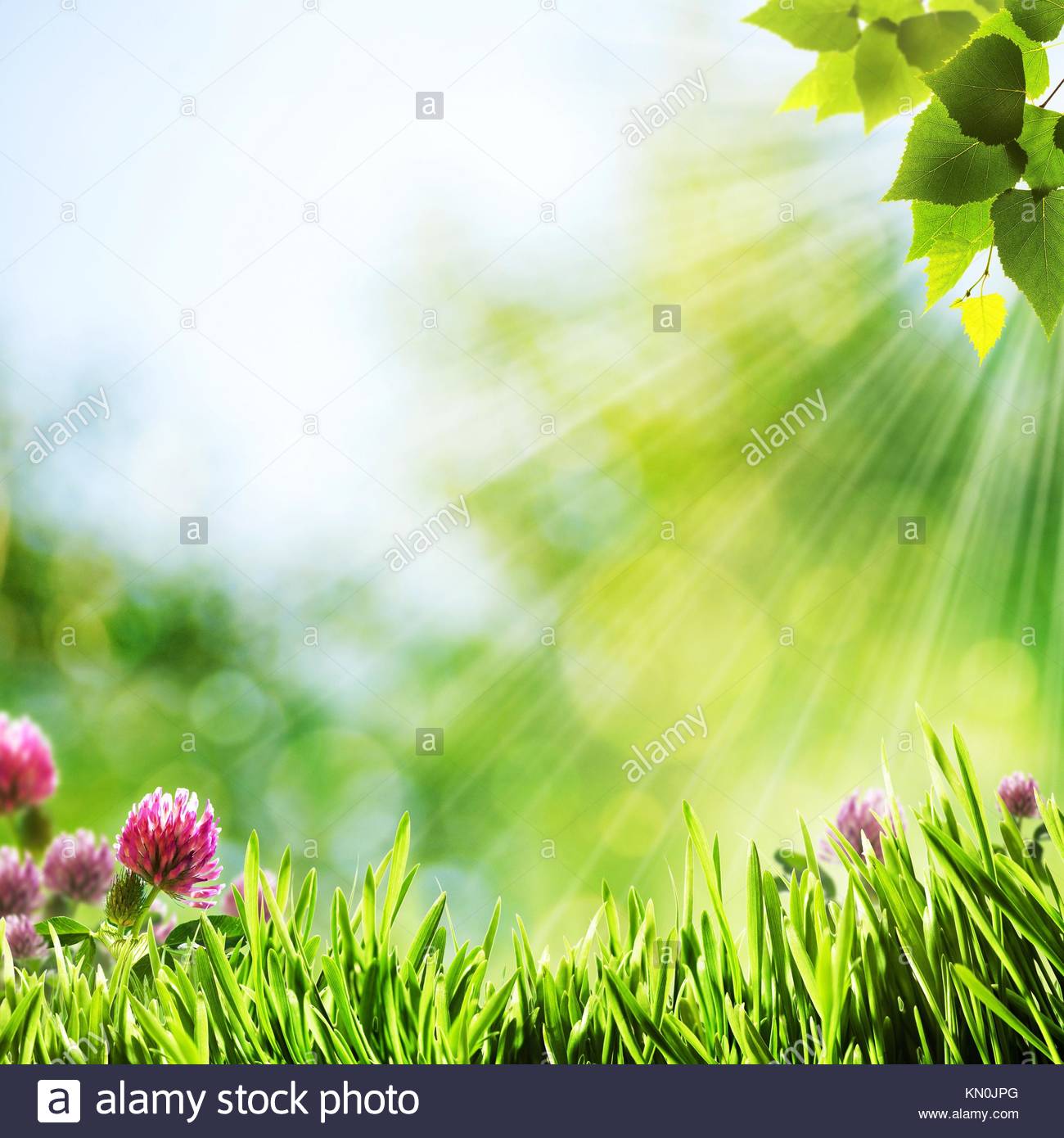 Have A Nice Day Abstract Natural Background Stock Photo