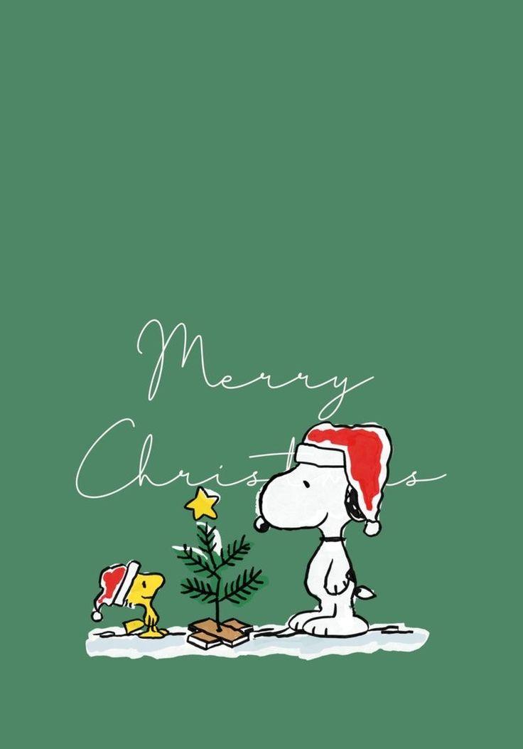 Elaine On Snoopy Wallpaper Christmas