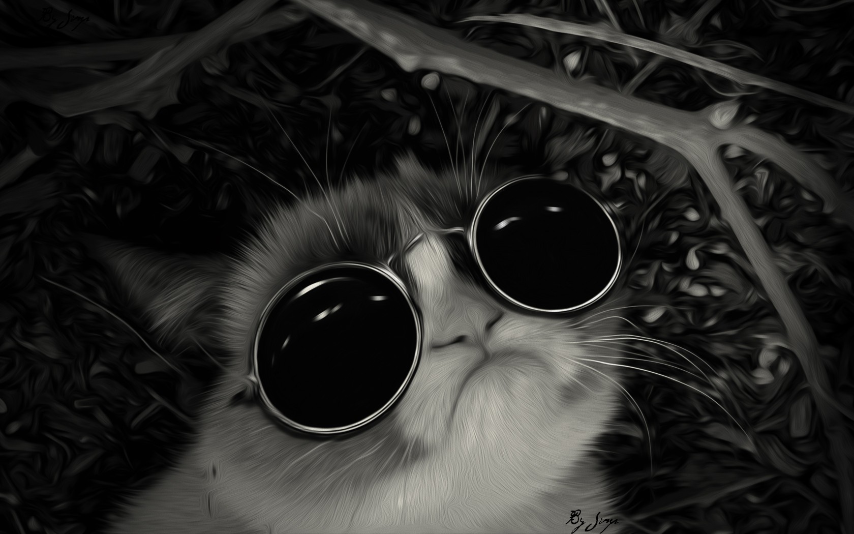 Grumpy Cat Wallpaper