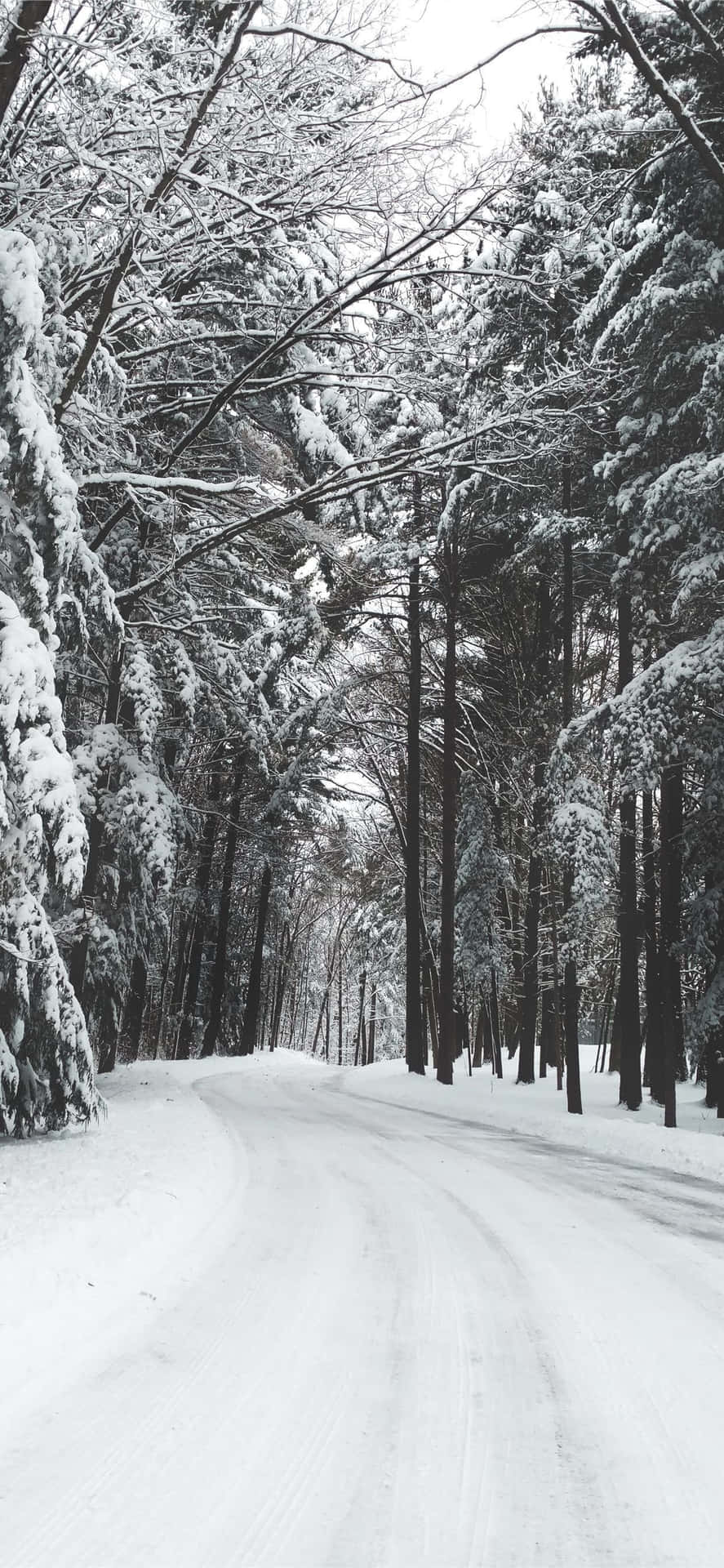 Snow Iphone Wallpaper