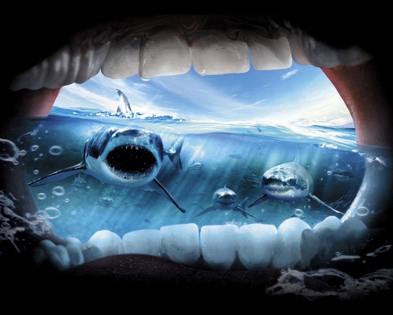 Jaws Wallpaper Widescreen For