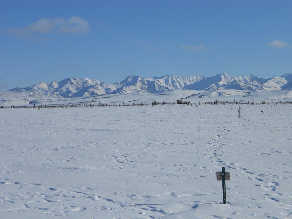 New Study Suggests Northern Tundra Shifting From Carbon